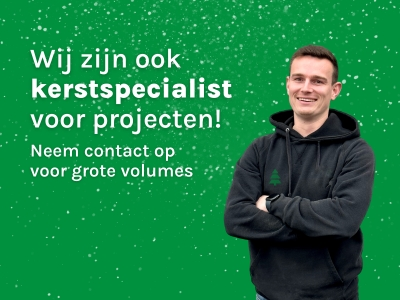 Showroom banner