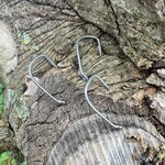 baitsolutions Baitsolutions Straiht point hook