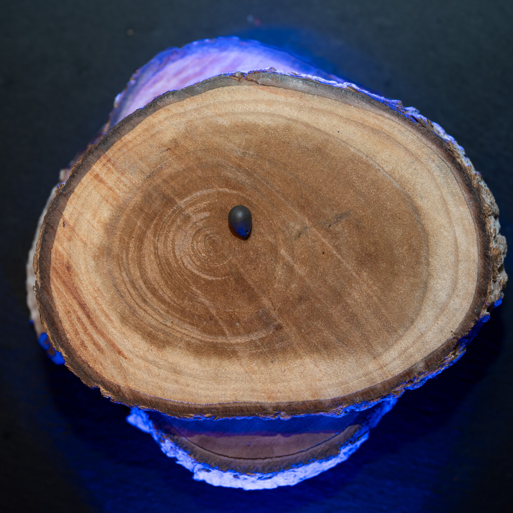 Baitsolutions Tungsten shot on the hook 0,3 / 0,4 gram 11pcs