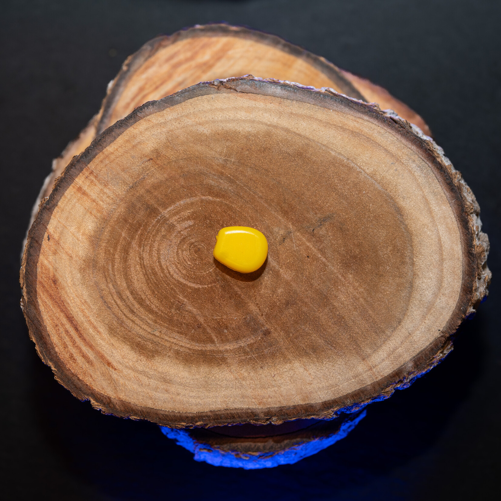 Baitsolutions Baitsolutions Fake Corn yellow 10 pieces