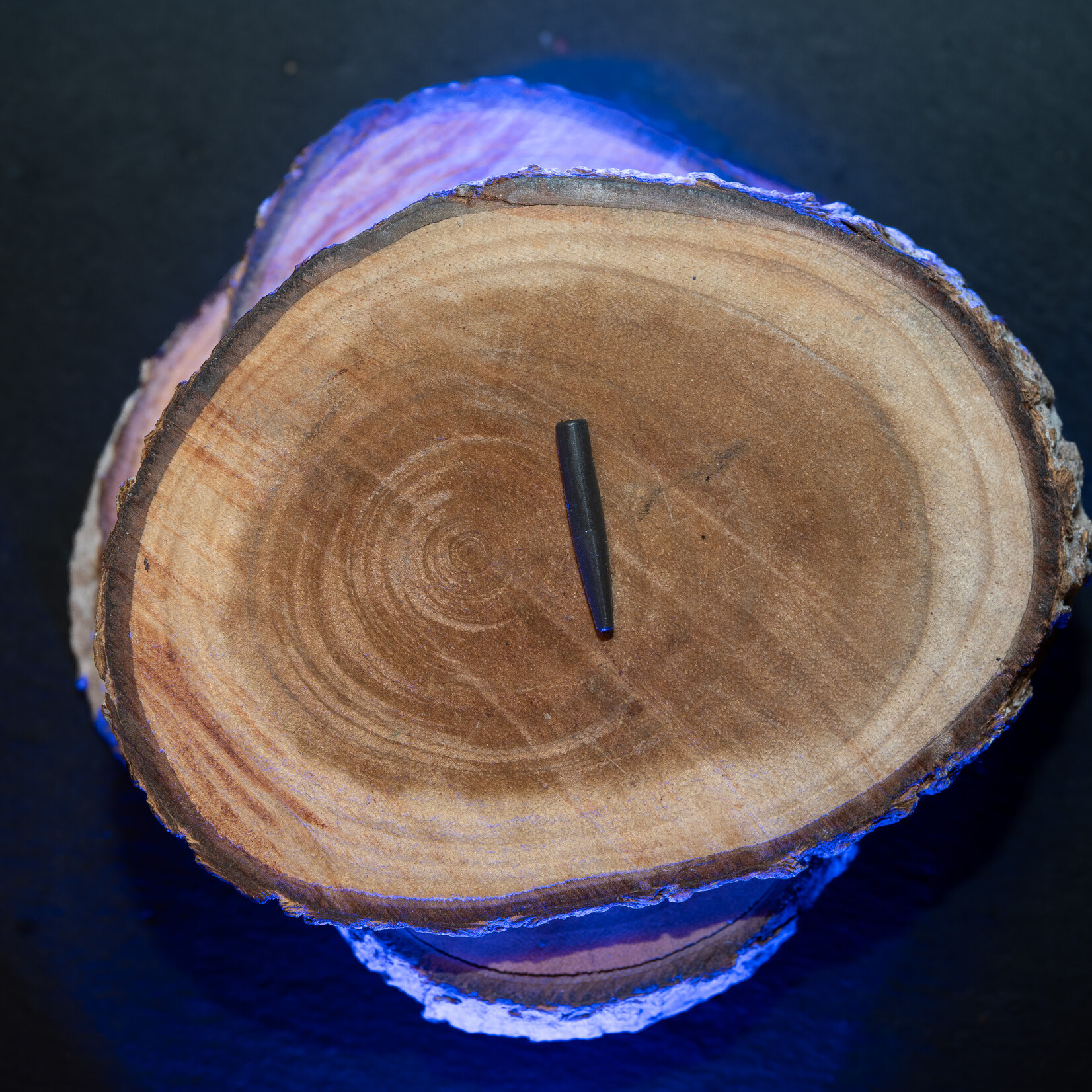 Baitsolutions Baitsolution Tungsten anti tangle sleeve short