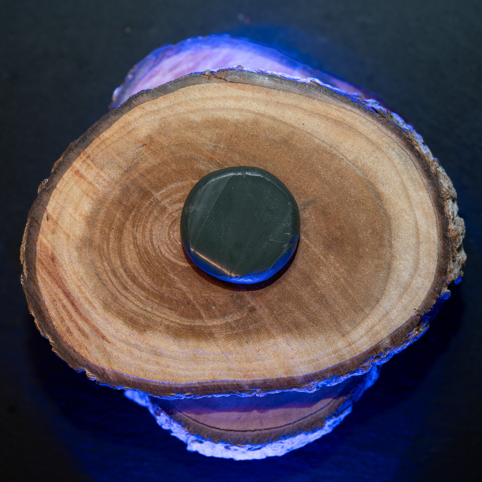 Baitsolutions Tungsten Putty 1 mini box