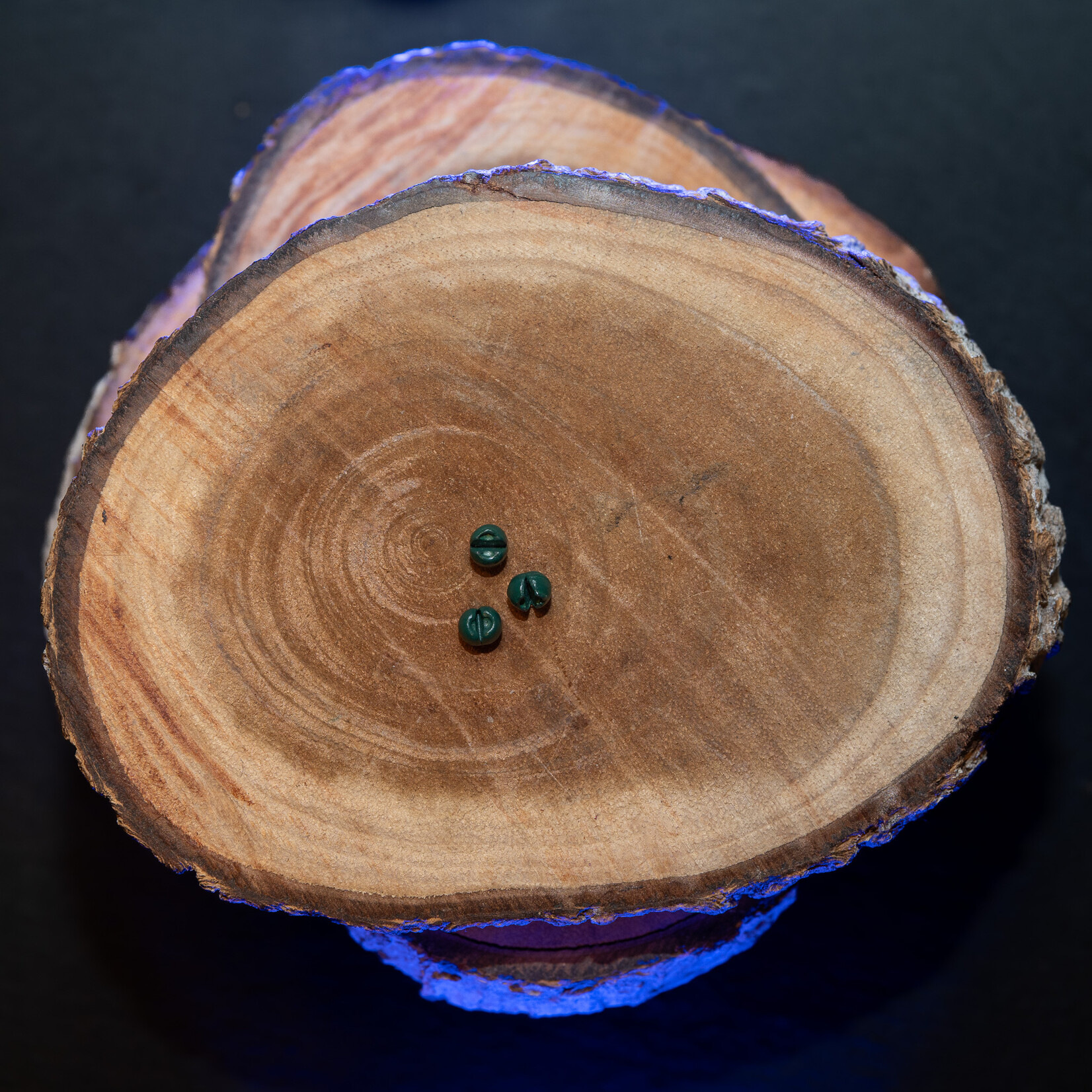 Baitsolutions Lead Shots 0,3 gr Weed 30 pcs