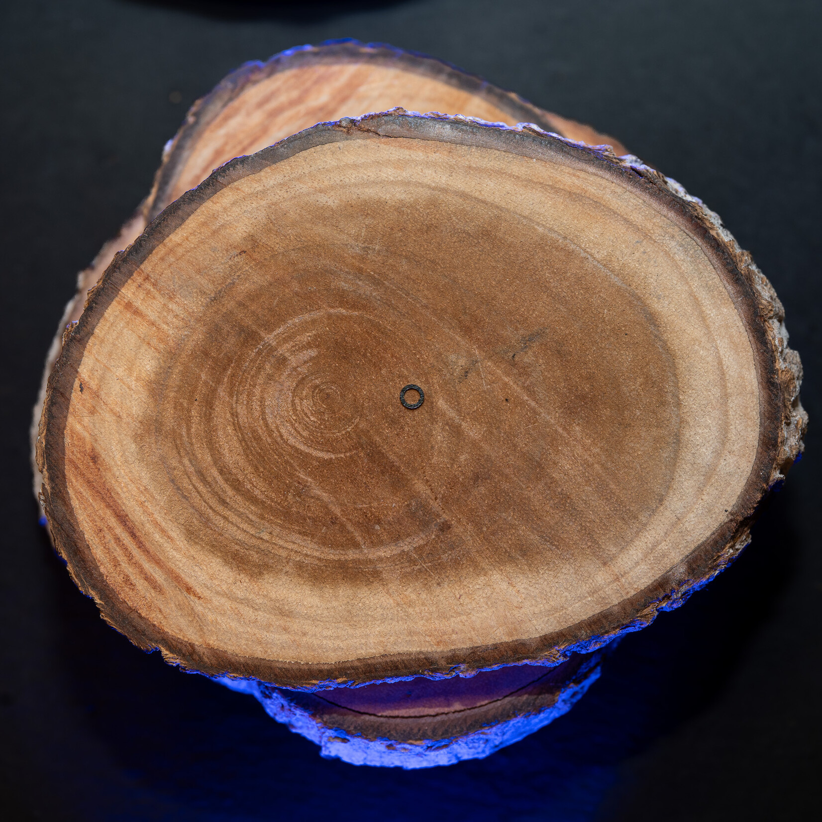 Baitsolutions Round Rig Rings