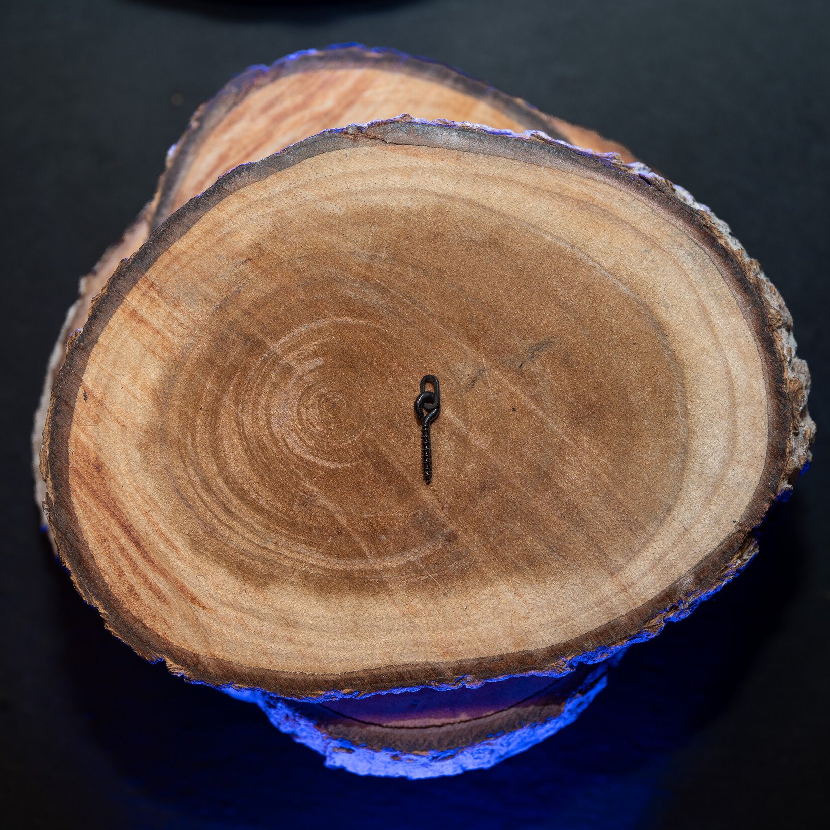 Baitsolutions Bait Screw 10 pcs