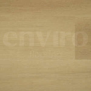 ENVIRO 004 - Recht