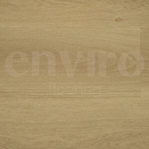 ENVIRO 005 - Recht
