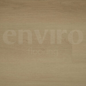 ENVIRO 006 - Recht