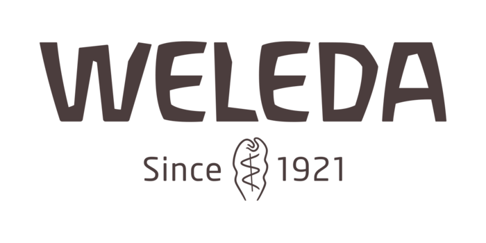 Wedela