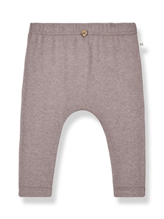 1+ in the family PAM / mauve