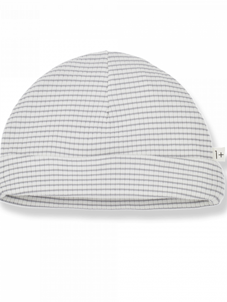 1+ in the family GIO / smoky-ivory