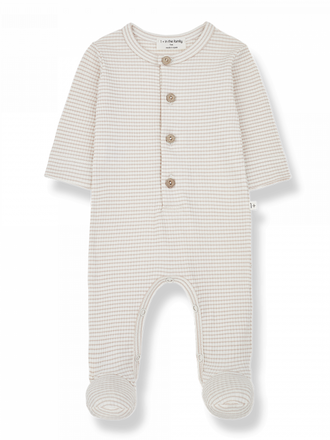 1+ in the family NINO / nude-ivory