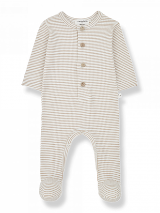 1+ in the family NINO / clay-ivory