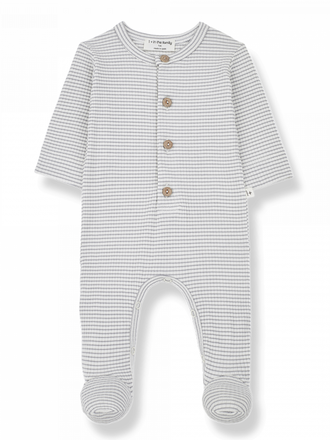 1+ in the family NINO / smoky-ivory Maat 6m