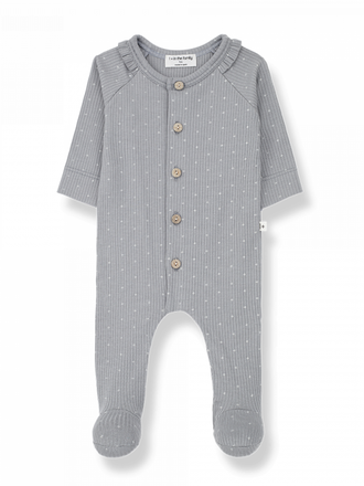 1+ in the family CARI / smoky