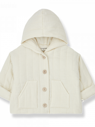 1+ in the family DOMENICO / ivory 1M