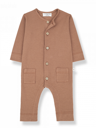 1+ in the family LEONARDO / apricot