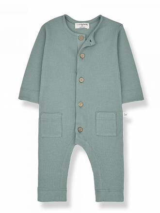 1+ in the family LEONARDO / shark