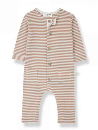 1+ in the family RENATO / apricot