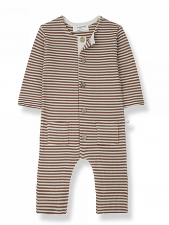 1+ in the family RENATO / sienna