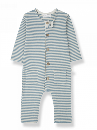 1+ in the family RENATO / shark