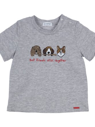 GYMP T-shirt Aerochine/  Grey Melange / 353-4457-20