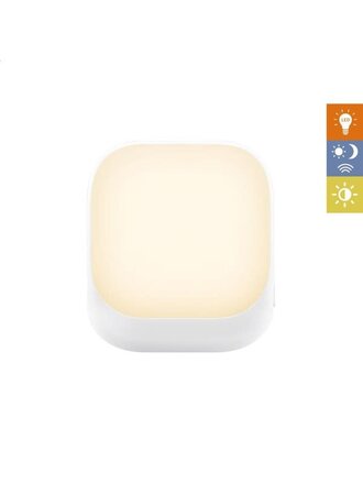 Zazu ZAZU - Socket Light - White