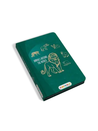 KIDYWOLF KIDYDRAW-MINI-AAW