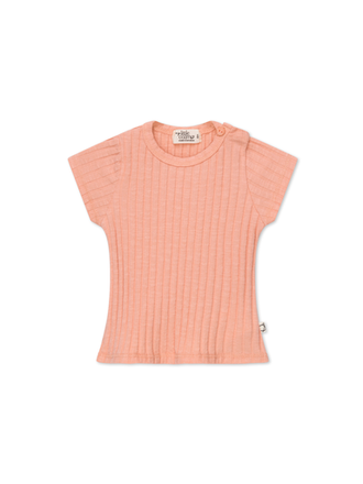 My Little Cozmo CHARLIE211 / Peach