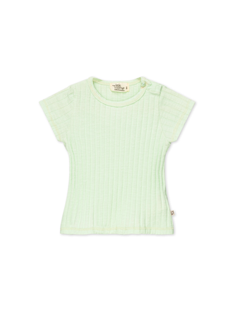 My Little Cozmo CHARLIE211 / Green