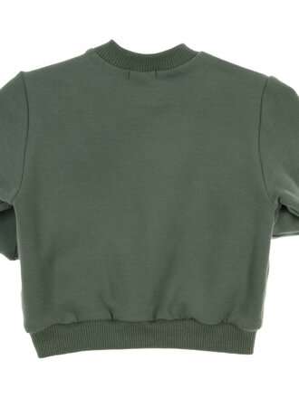 GYMP Sweater Carbondoux Green 352-5808-20