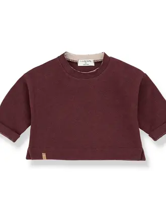 1+ in the family FELIX sweater /melanzana