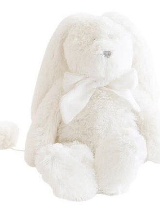 Dimpel Flore musical