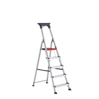 Bordestrap 5 treden (max. werkhoogte 3,25 m)