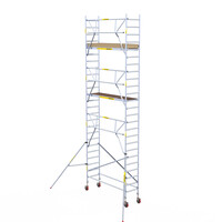 Panthera Panthera 75x245 8,2 m altura de trabajo barandillas simples Panthera Panthera 75x245 8,2 m altura de trabajo barandillas simples