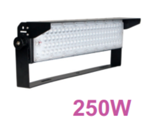 Led Stadium Light -  250W -  170l/m- PHILIPS LED Driver - 5000k -  5 jaar garantie