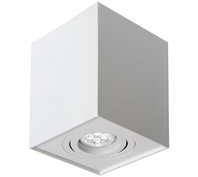 Spectrum voor de installateur LED plafondspot - Cube vierkant -  Wit -  met GU10 fitting - kantelbaar - excl. LED spot