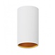 Spectrum voor de installateur LED plafondspot Chloe - Mat wit goud - GU10 aansluiting
