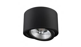 Spectrum voor de installateur LED Plafondspot CHLOE - Kantelbaar - GU10 AR111 - Excl. LED Spot - Zwart rond