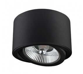 Spectrum voor de installateur LED Plafondspot CHLOE - Kantelbaar - GU10 AR111 - Excl. LED Spot - Zwart rond