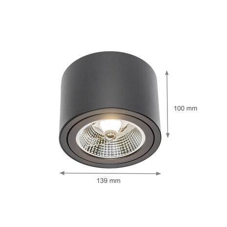 Spectrum LED Plafondspot CHLOE - GU10 AR111 - Excl. LED Spot - Zwart rond