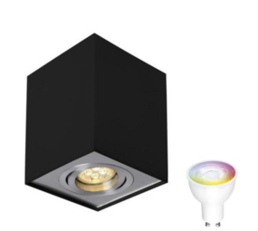 Spectrum voor de installateur WiFi LED plafondspot - Cube vierkant -  Zwart Zilver - Bediening met de app - kantelbaar