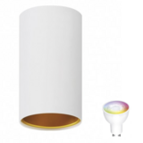Spectrum voor de installateur WiFi LED plafondspot Chloe - Mat wit goud - Bediening via de app