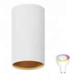 Spectrum voor de installateur: Betaalbare kwaliteit en veelzijdige LED-oplossingen WiFi LED plafondspot Chloe - Mat wit goud - Bediening via de app