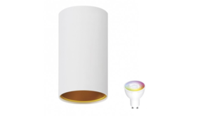 Spectrum voor de installateur WiFi LED plafondspot Chloe - Mat wit goud - Bediening via de app