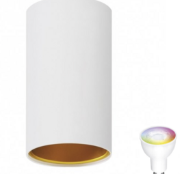 Spectrum voor de installateur WiFi LED plafondspot Chloe - Mat wit goud - Bediening via de app
