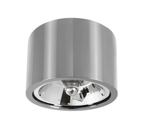 Spectrum voor de installateur OP=OP LED Plafondspot CHLOE - GU10 AR111 - Excl. LED spot - Zilver rond