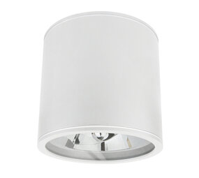 Spectrum voor de installateur LED Plafondspot CHLOE - GU10 AR111 - IP65 - excl. LED spot - Wit rond