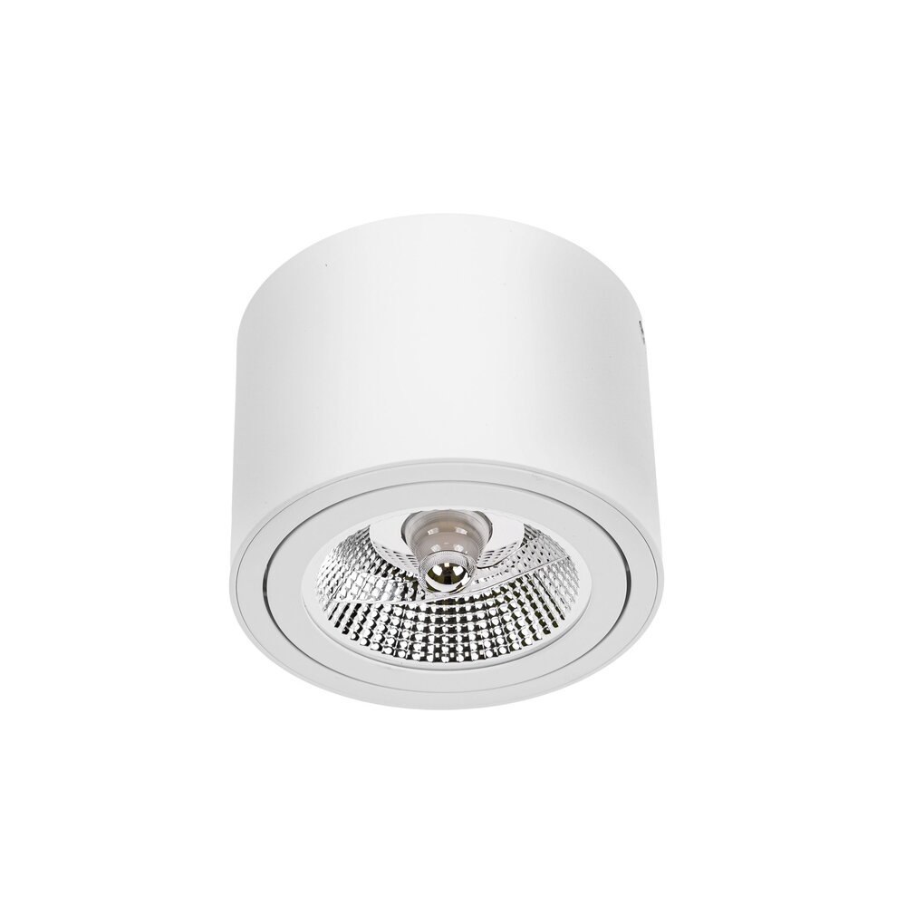 Spectrum voor de installateur LED Plafondspot CHLOE - GU10 AR111 - excl. LED spot - Wit rond