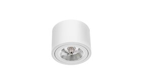 Spectrum voor de installateur LED Plafondspot CHLOE - GU10 AR111 - excl. LED spot - Wit rond